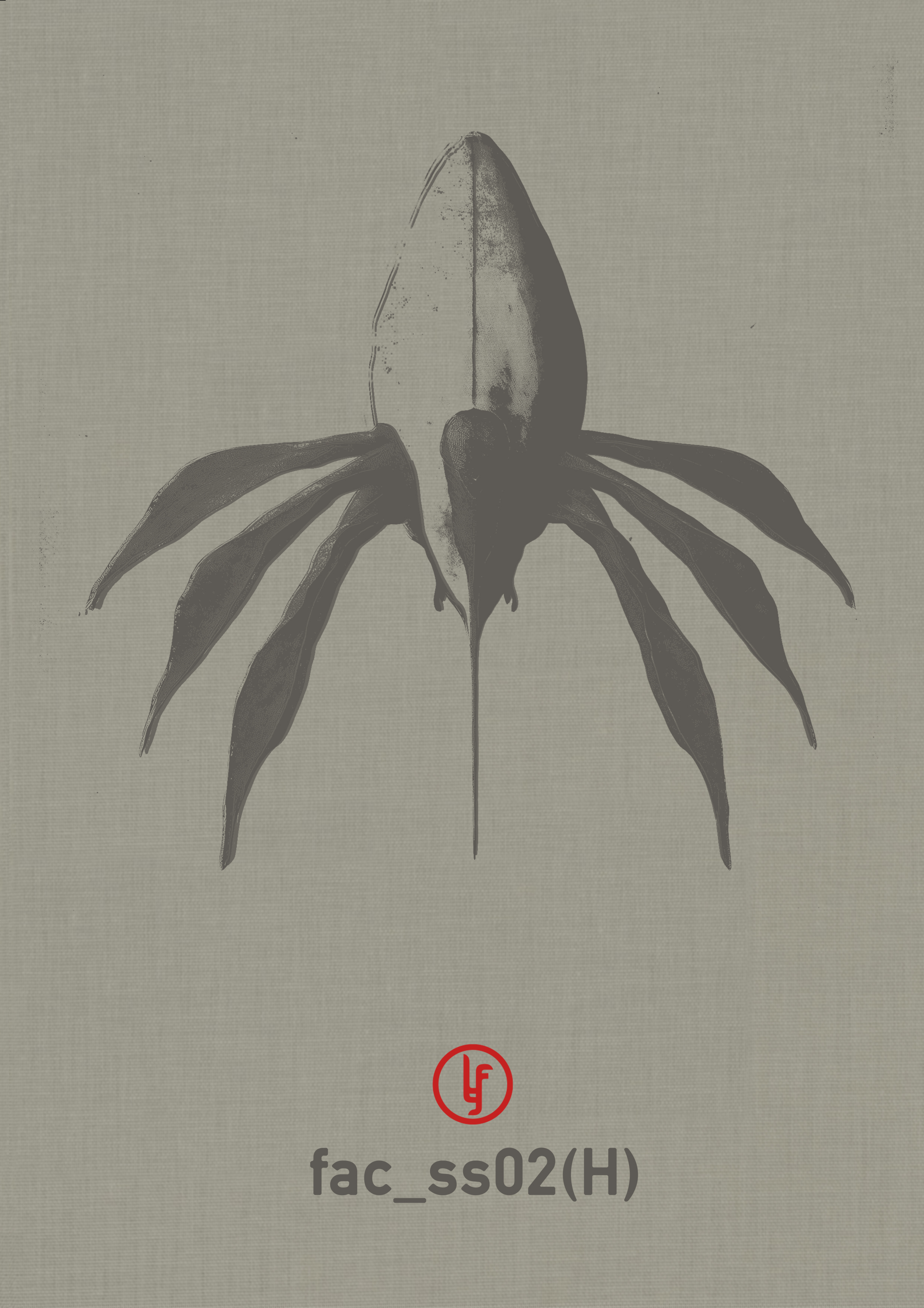 Stephen Oram Profile Photo