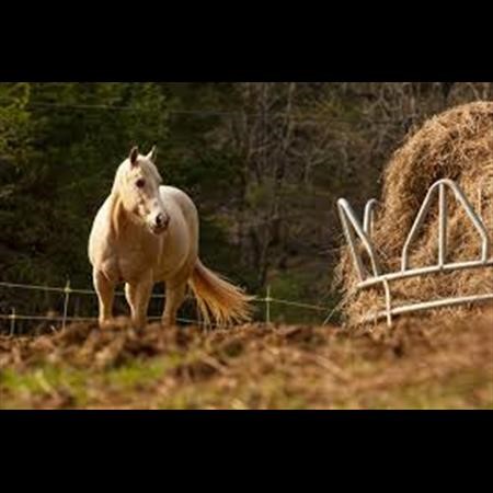 Alcohol Rehab Center Hampton VA