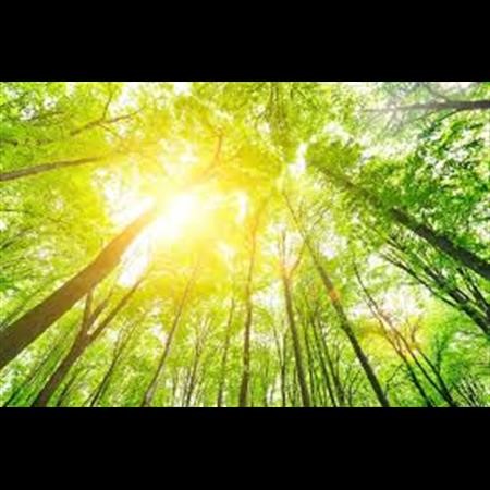 Alcohol Rehab Center Mount Prospect IL