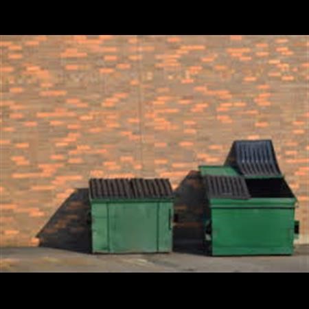 Dumpster Rental Tarzana CA