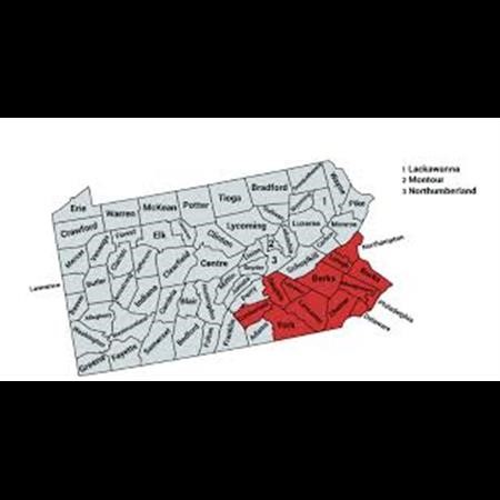 Dumpster Rental Port Reading NJ