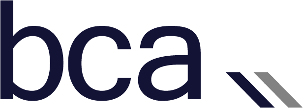 BaseCap Analytics logo