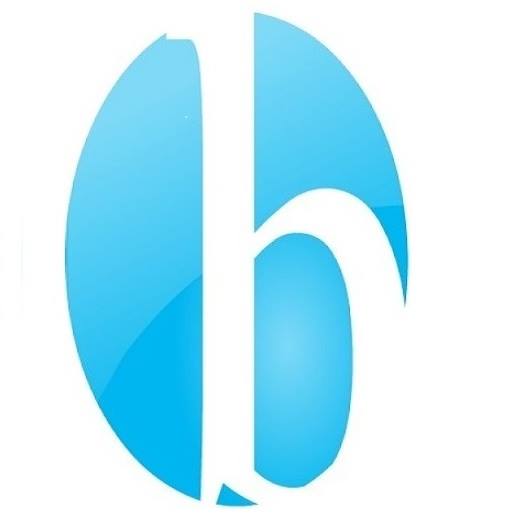 BSCI Chicago logo