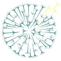 Dandelion Health logo