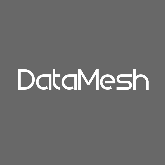 DataMesh logo