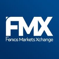 FMX logo