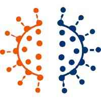 ImmuNovus logo