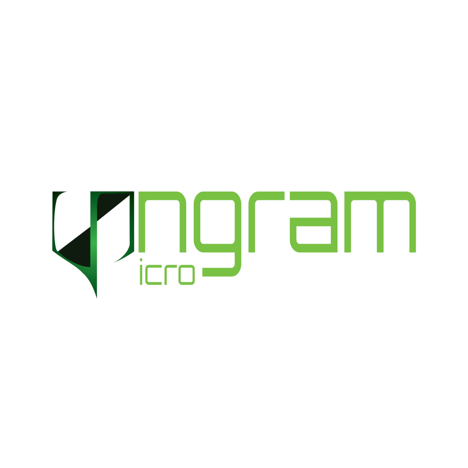 IngramMicro Security (PVT) logo