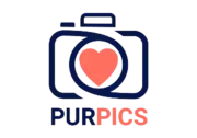 Knit logo
