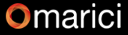 Marici Technology Solutions logo