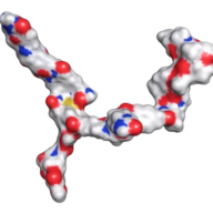 MultiValent Biotherapies logo