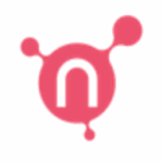 Netris logo