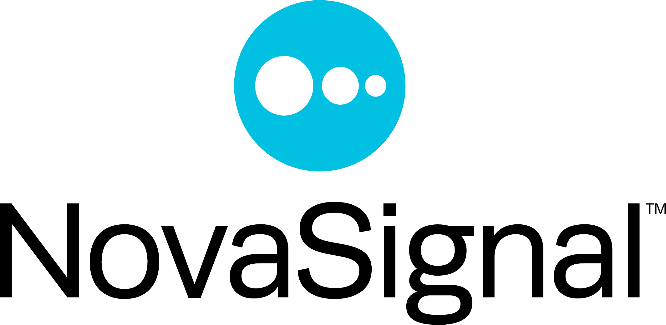 Neural Analytics logo
