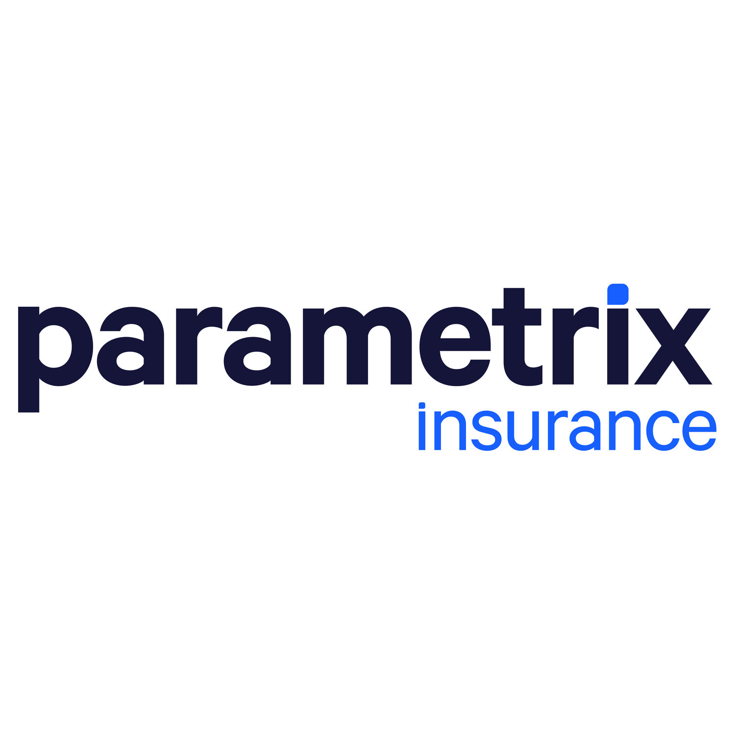 Parametrix logo