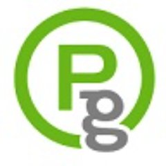 Paynegroup logo