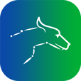 Pet Metrics logo