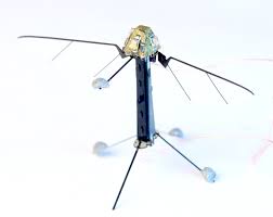 Robobee logo