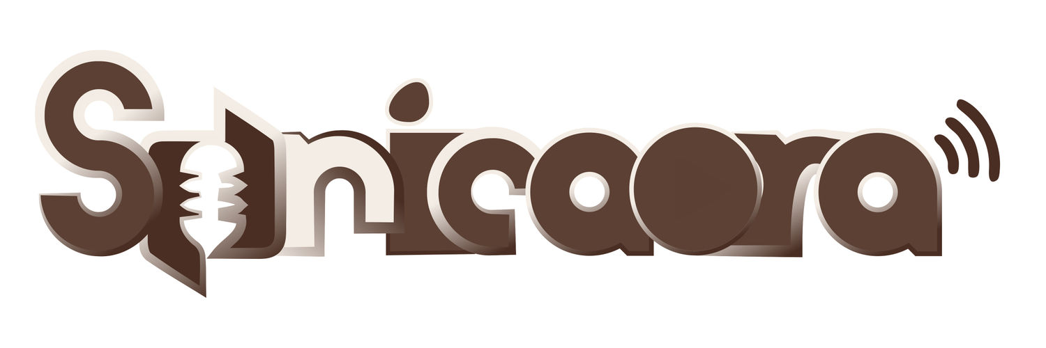 Sonicaora Systems logo
