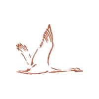 Swan Valley Medical logo