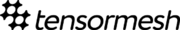 Tensormesh logo