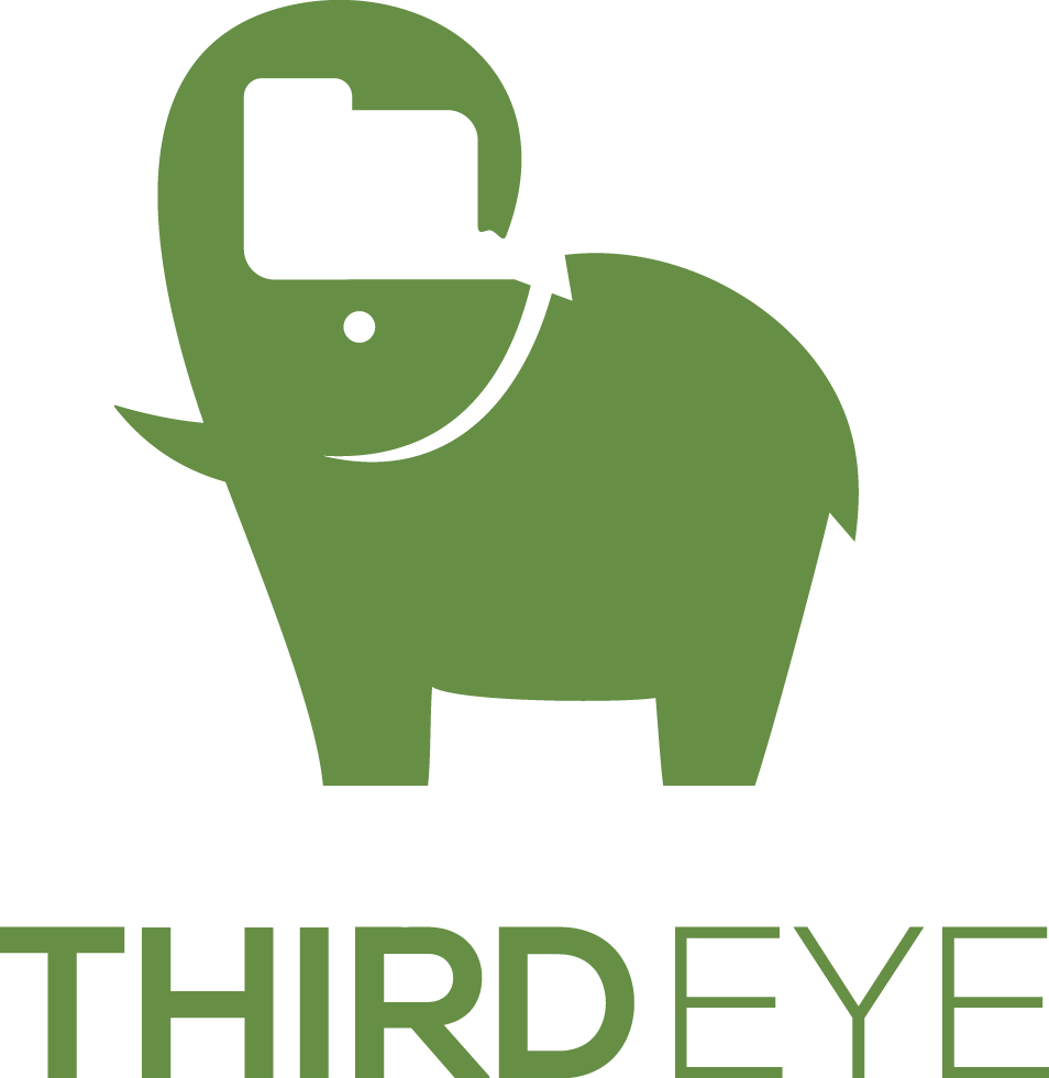 ThirdEye Data logo