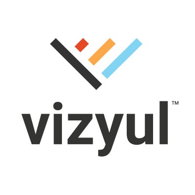 VIZYUL LLC logo