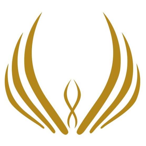 Wookey Technologies logo