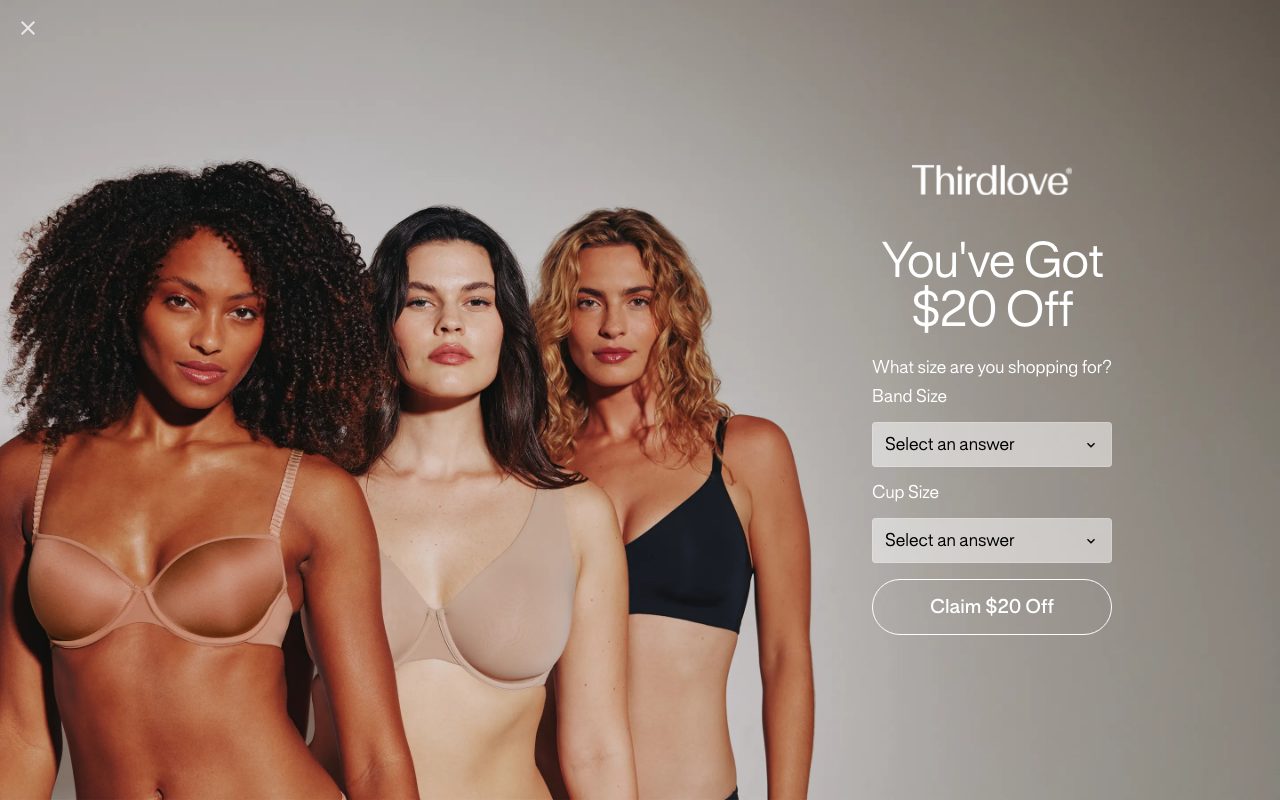 Thirdlove website
