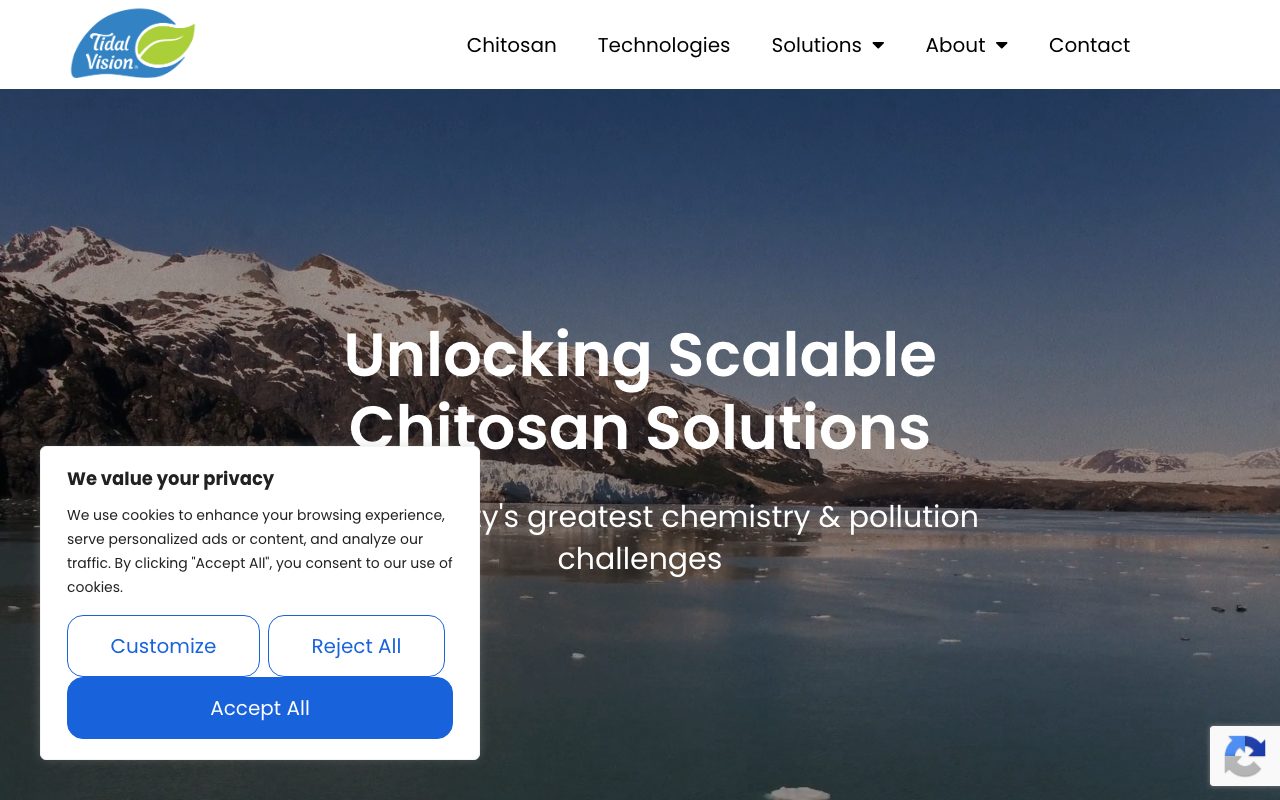 Tidal Vision website