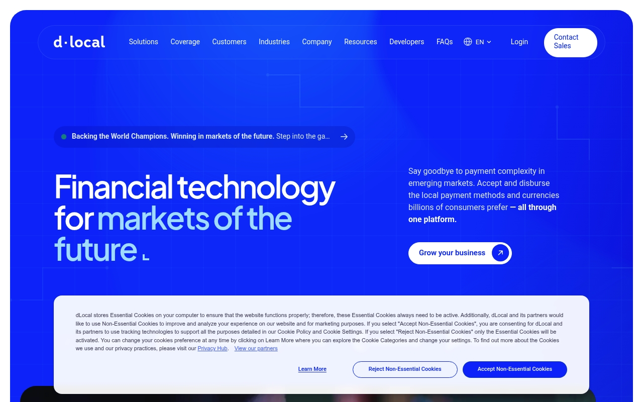 DLocal website