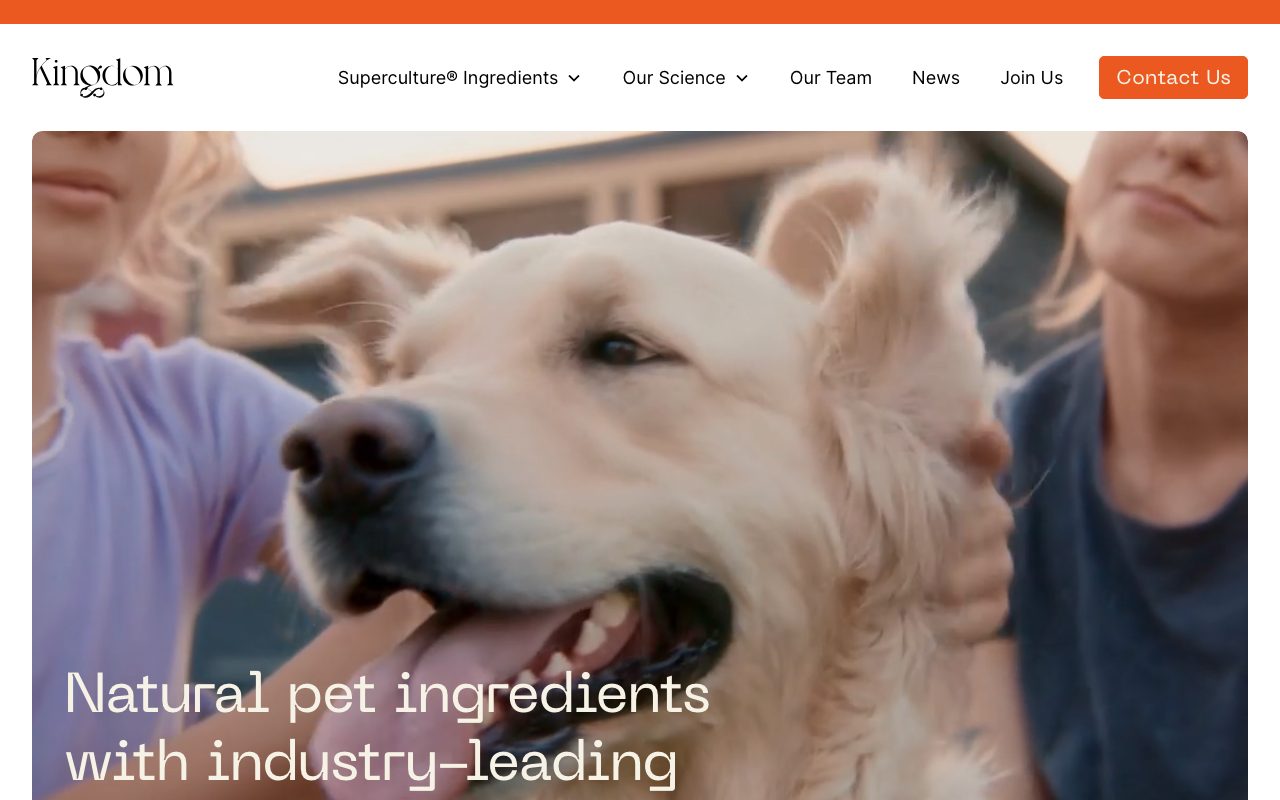 Kingdom Supercultures website