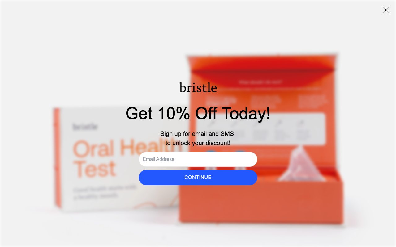 Bristle website
