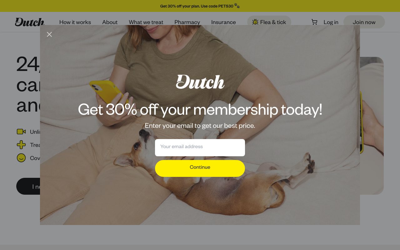 Dutch website