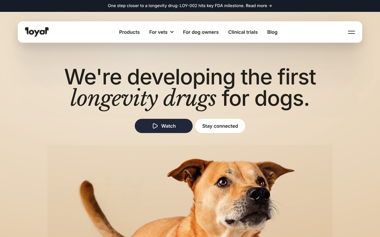 Loyal website