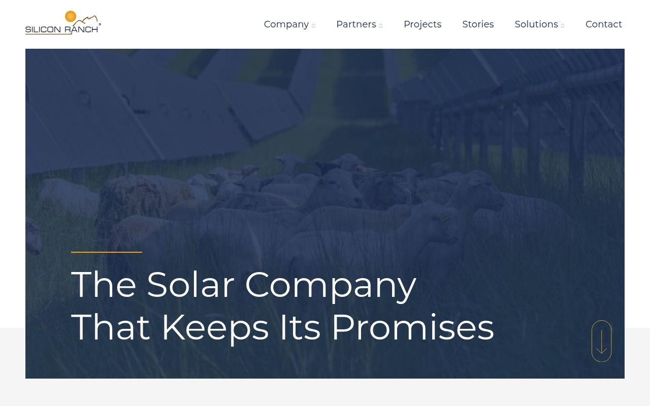 Silicon Ranch website
