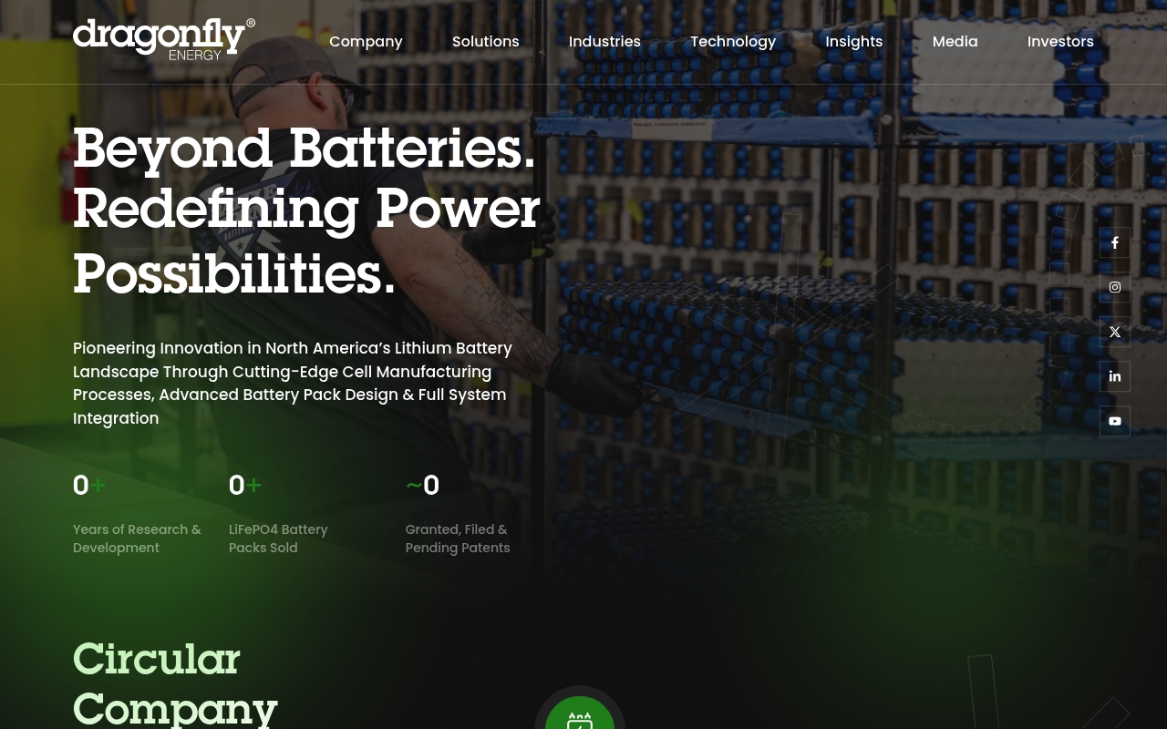 Dragonfly Energy website