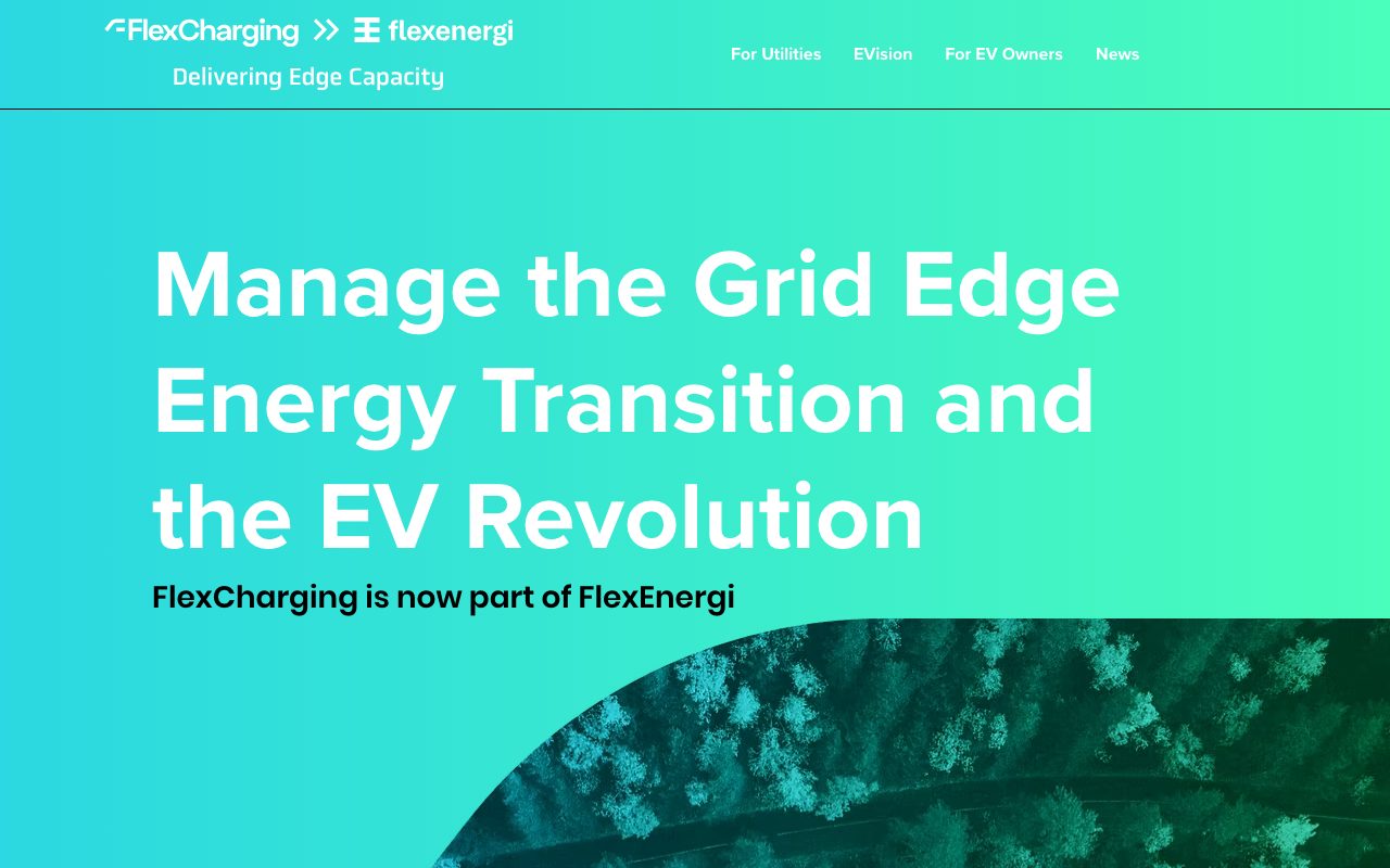 FlexCharging website