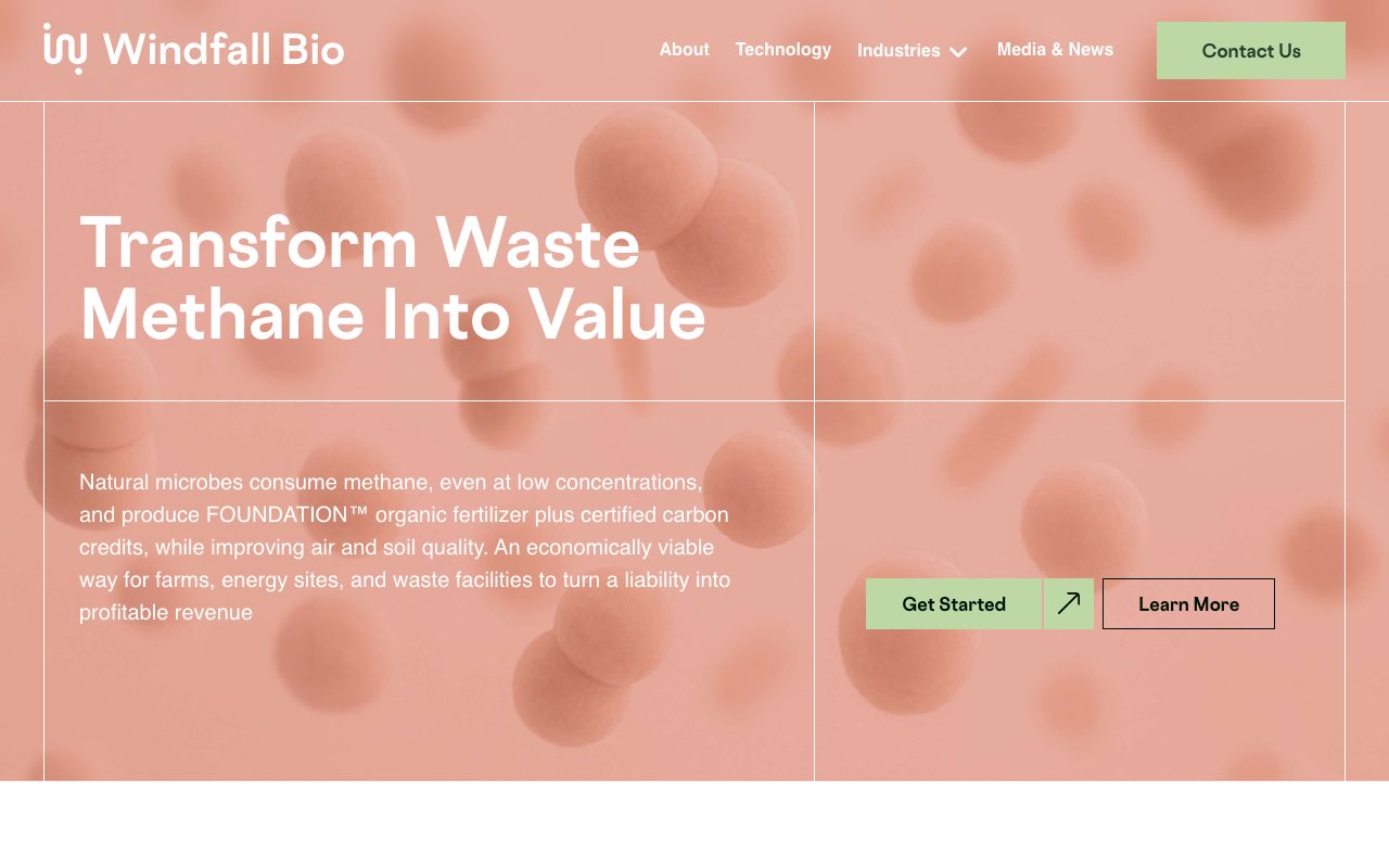 Windfall Bio website
