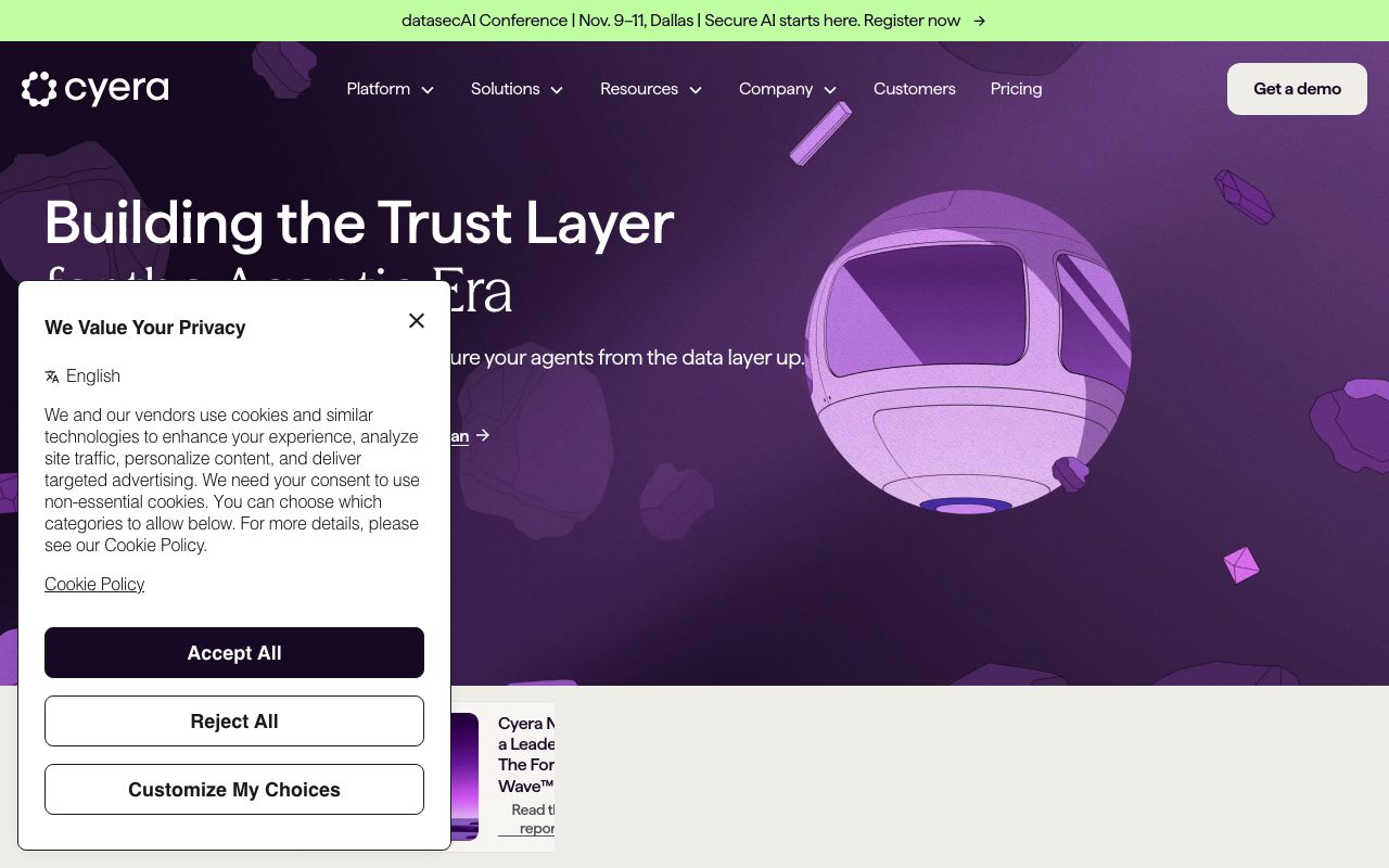 Cyera website
