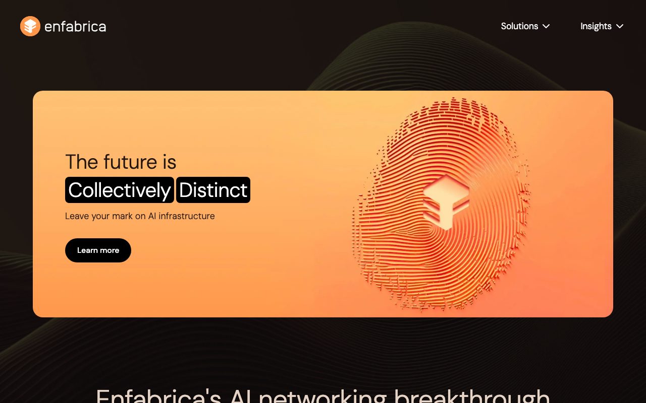 Enfabrica website