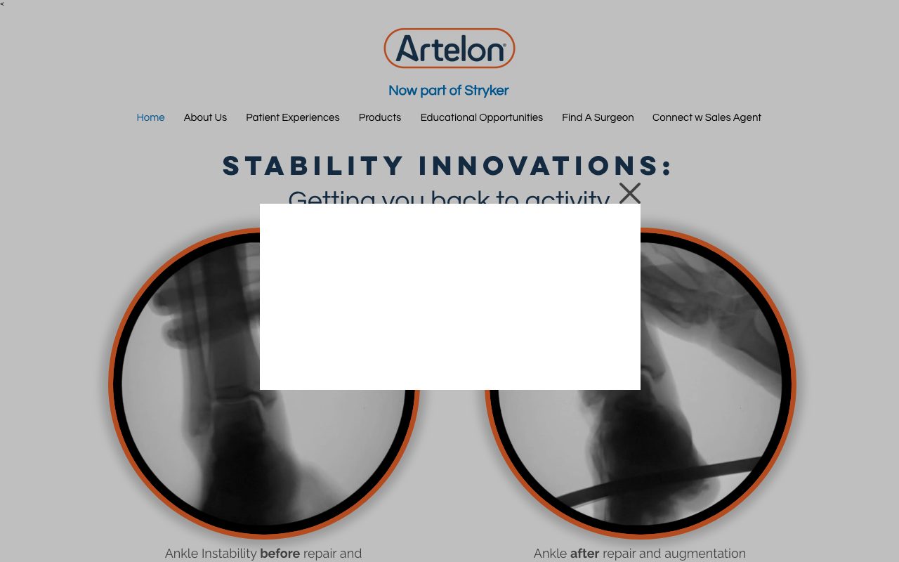 Artelon website