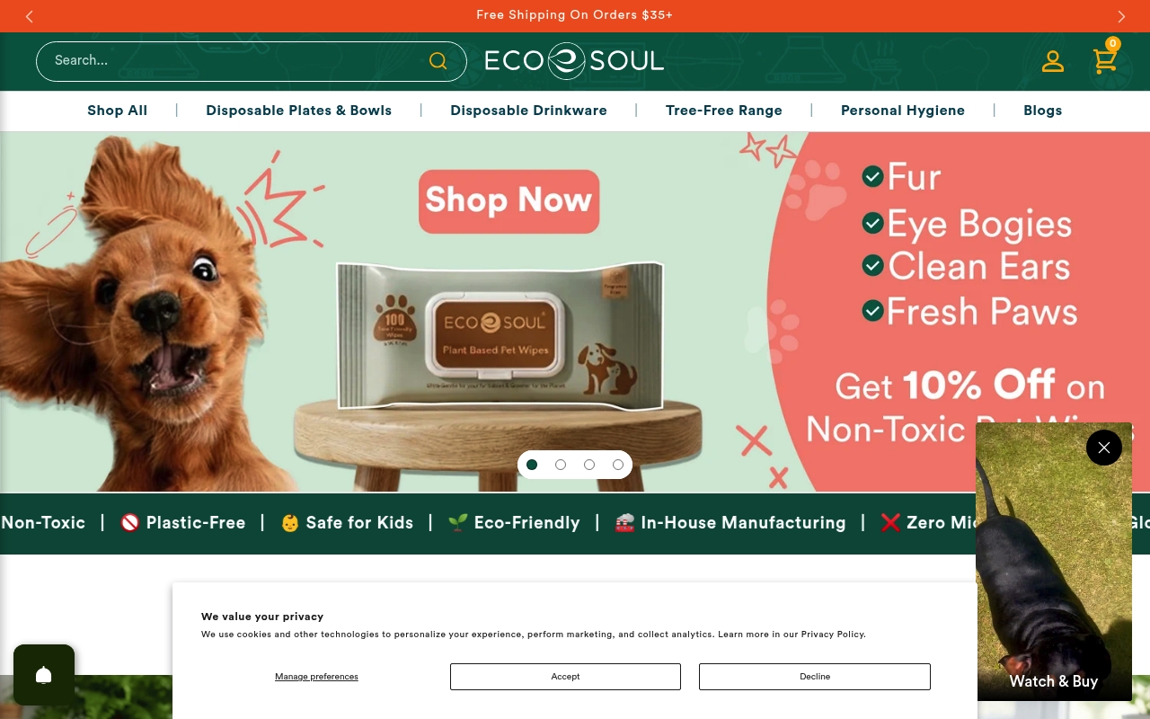EcoSoul Home website