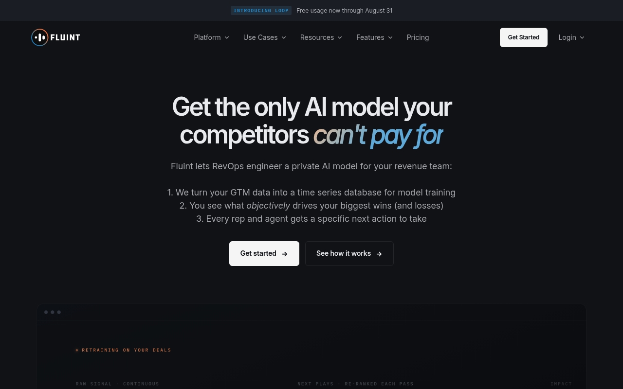 Fluint website