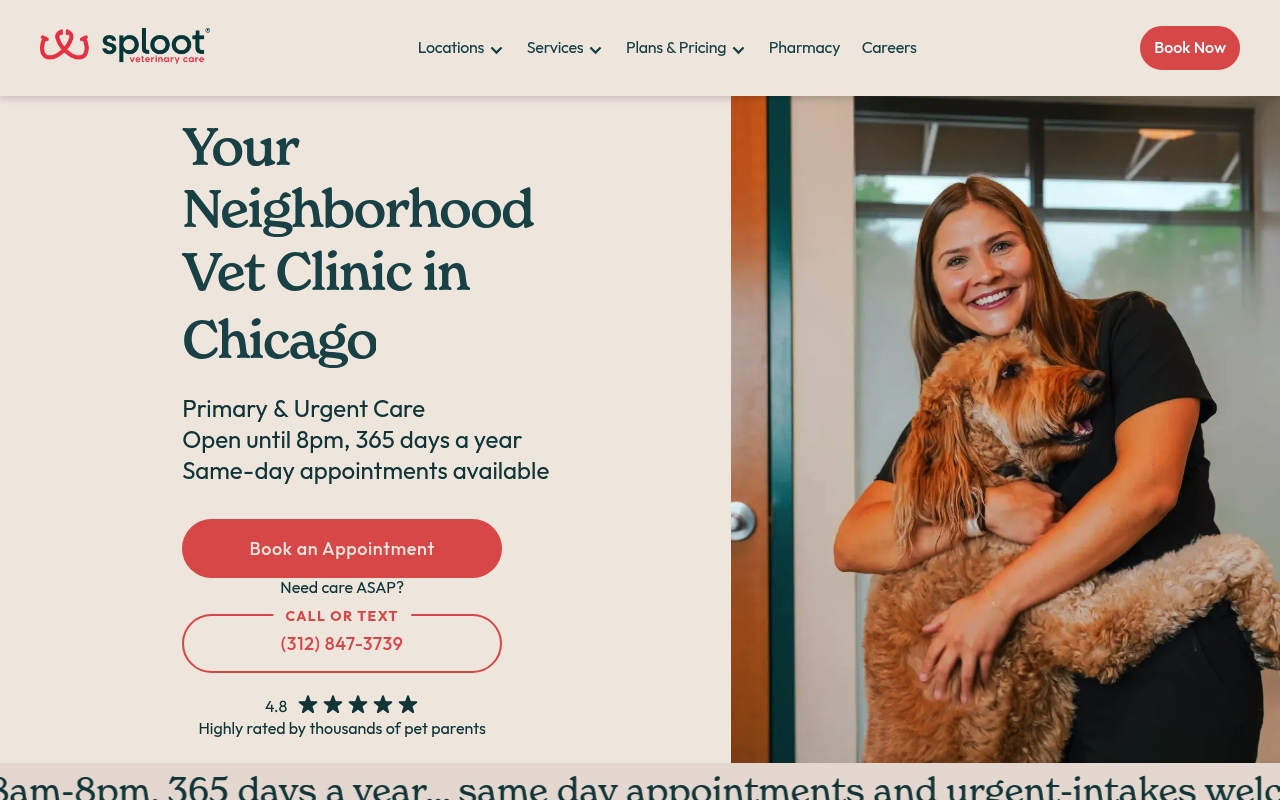 Sploot Veterinary Care website