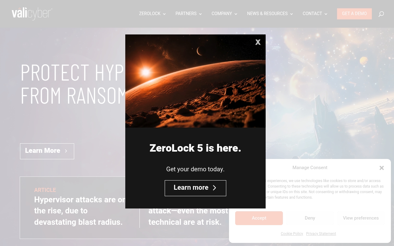 Vali Cyber website