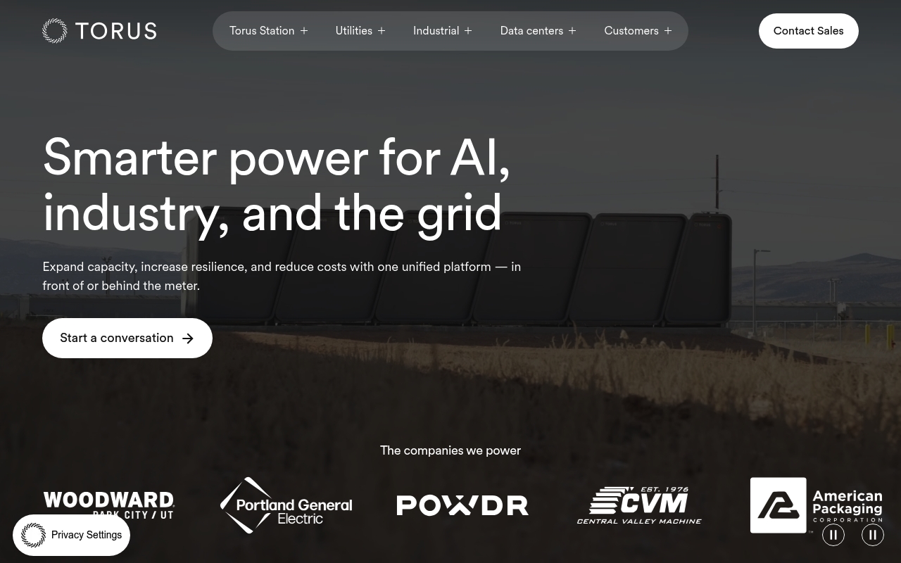 Torus website