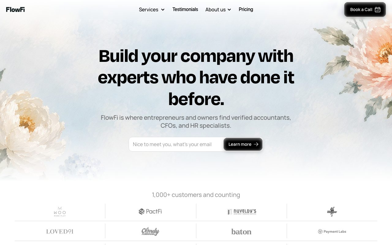 FlowFi website