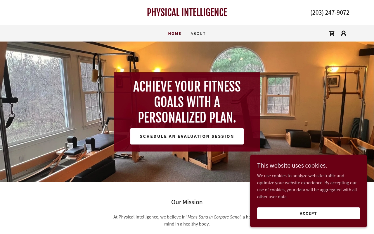Physical Intelligence website