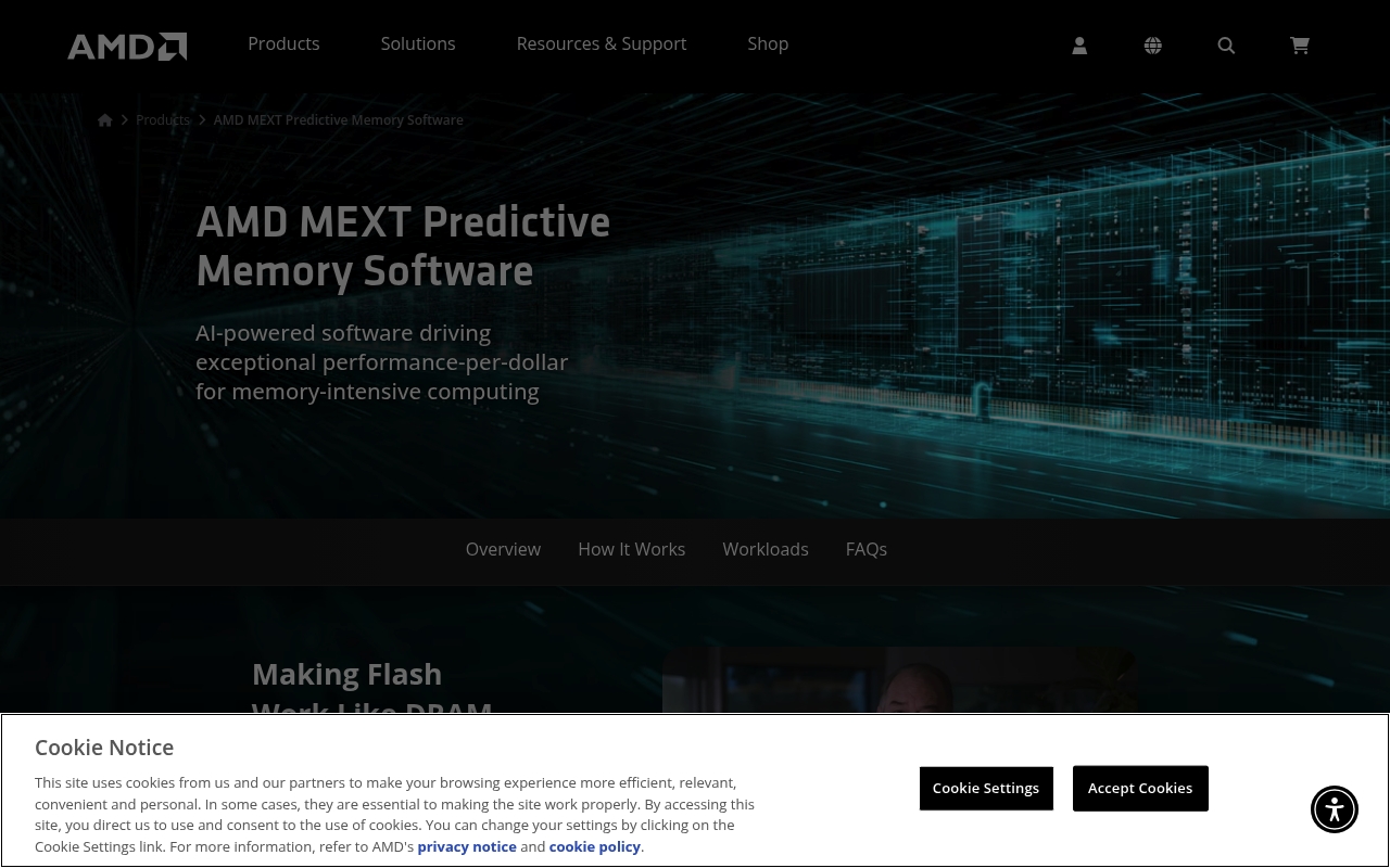 MEXT website