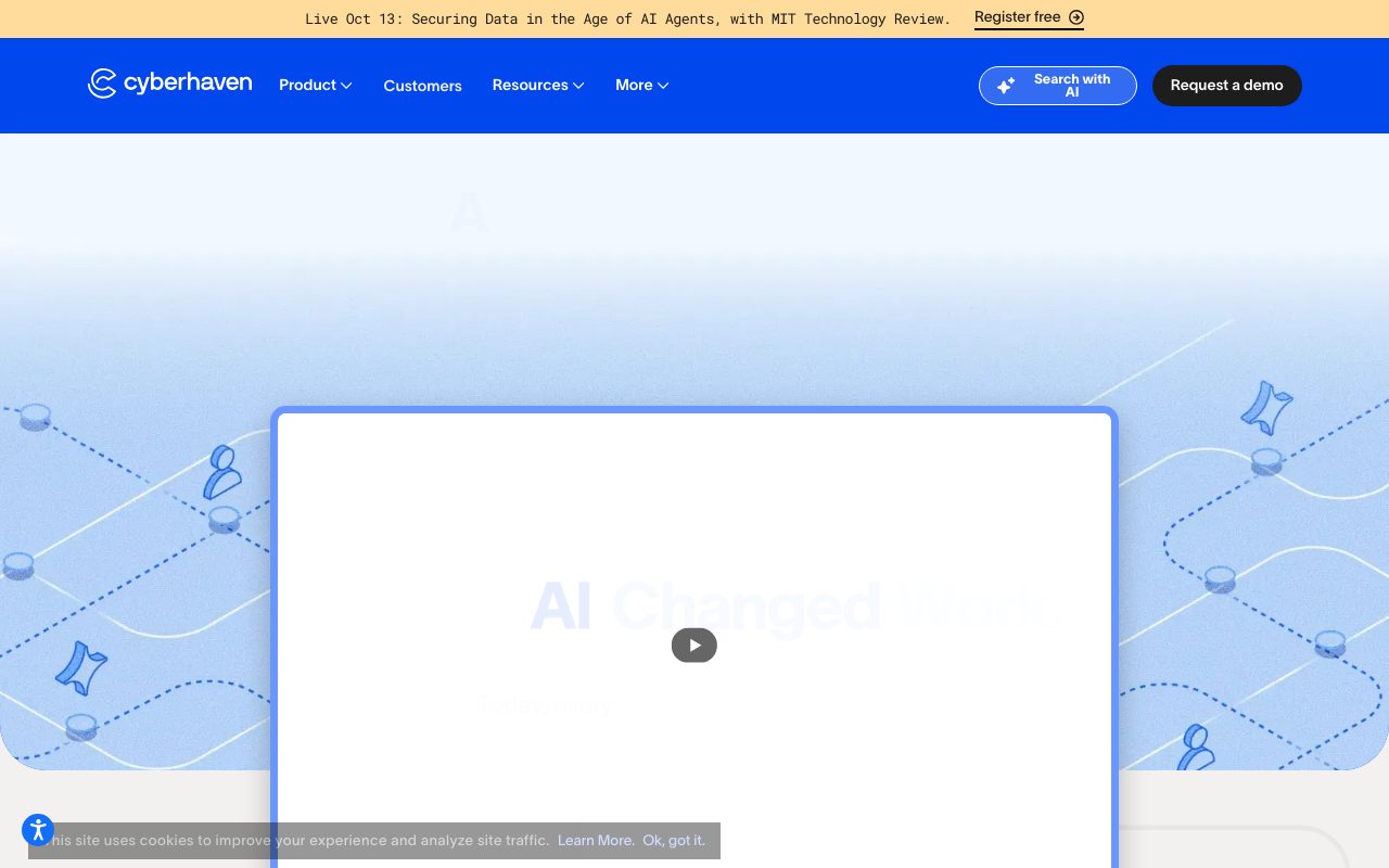 Cyberhaven website